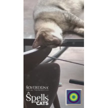 Spells for Cats: Calm Kitty (Calming)