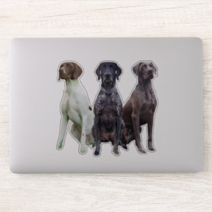 Adesivo (SPG) Deutsch Kurzhaar Sticker