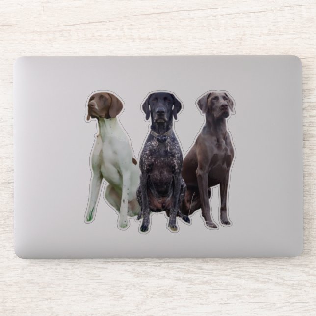 Adesivo (SPG) Deutsch Kurzhaar Sticker (Computador)