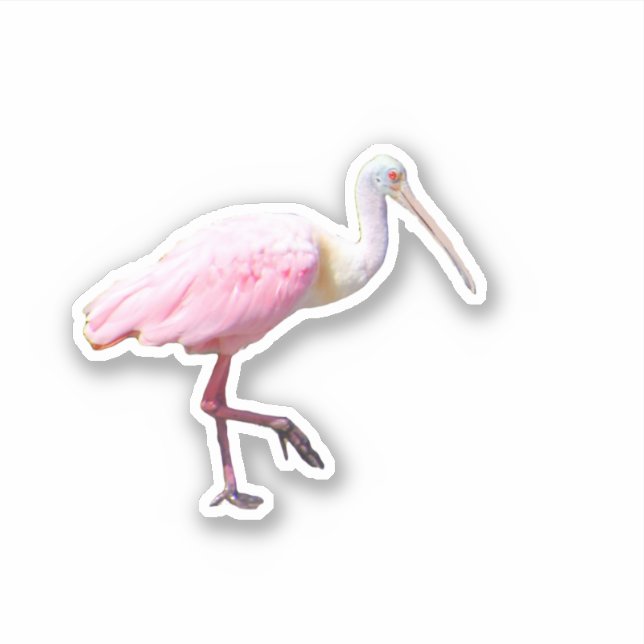 Adesivo Spoonbill Vinyl Sticker (Frente)