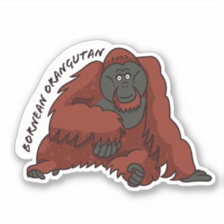 Adesivo Sticker "Bornean Orangutan"