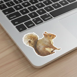 Adesivo Sticker de Esquilo da Cinza Oriental