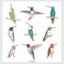 Sticker de Hummingbird Americano