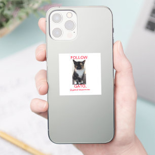 Adesivo Sticker SEGUIR GATO, Todos os Bonés
