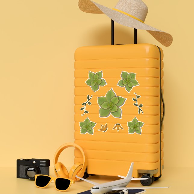 Adesivo Suculente Moderno Echeveria Verde e Desenhado (Criador carregado)