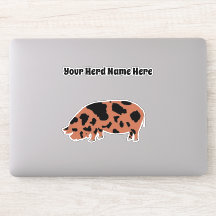 Suíno KuneKune personalizado