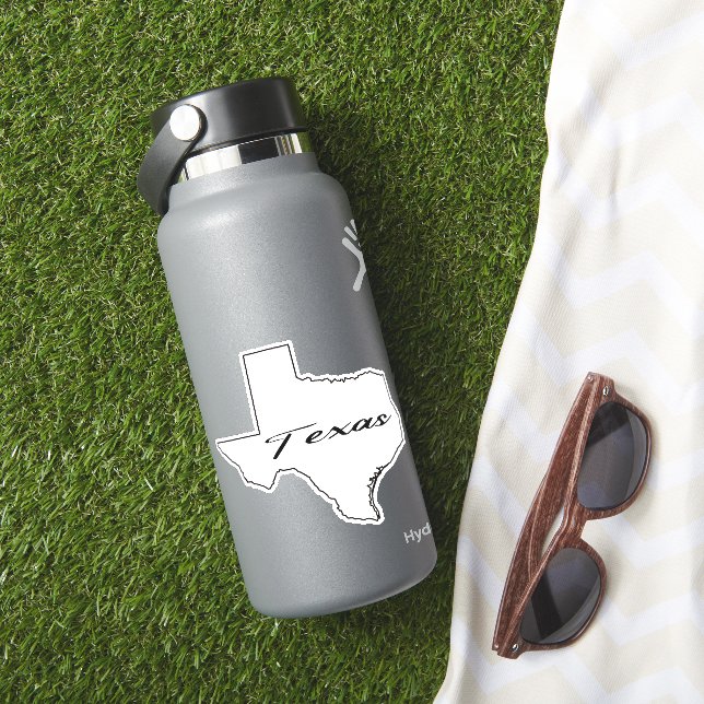 Adesivo Sumário do Texas (HydroFlask Insitu)