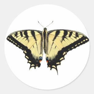 Adesivo ~ Swallowtail amarelo