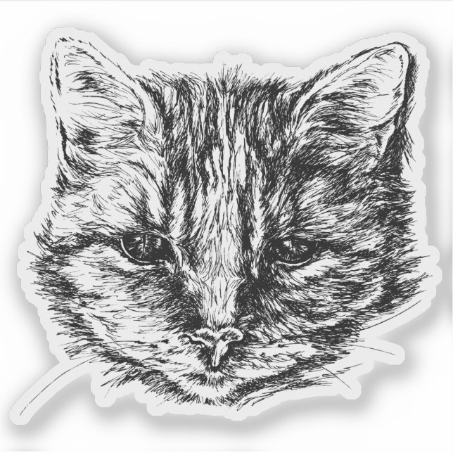 Adesivo Tabby Cat Sketch (Frente)