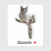 Talvez Você Deveria Cobrir Isso? Gato