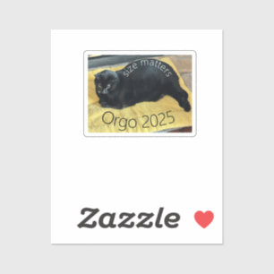 Adesivo Tamanho Importa