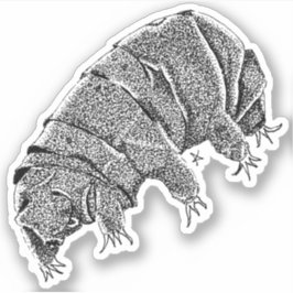 Adesivo Tardigrado