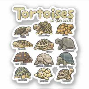 Adesivo Tartaruga Animais do Mundo Réptil Fofo Tartaruga