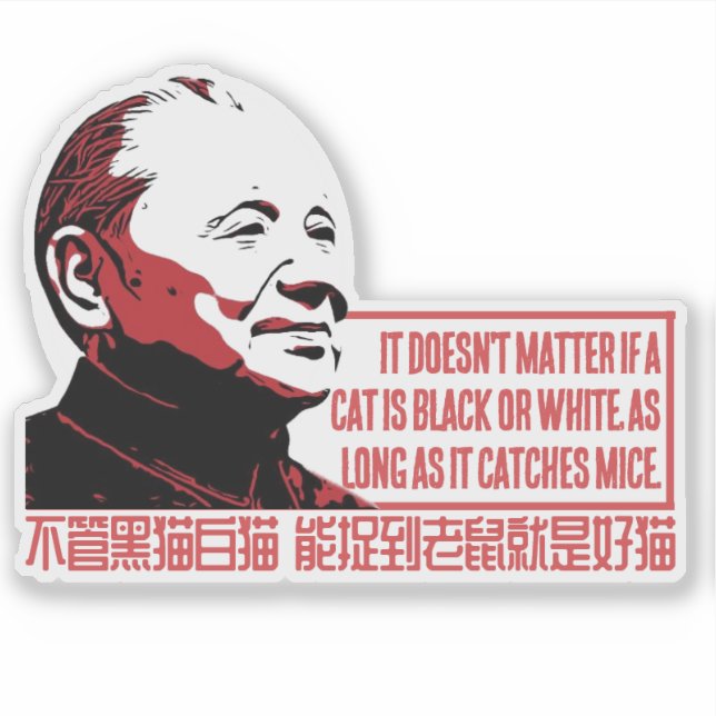 ADESIVO TEORIA CAT (Frente)