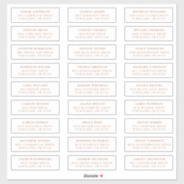 Adesivo Terracotta | Rótulos de Endereço de Convidado Indi