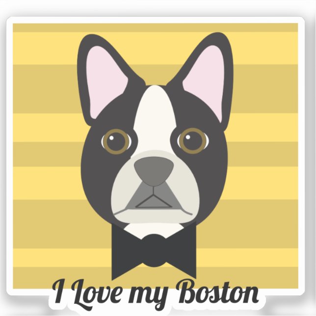 Adesivo Terrier de Boston (Frente)