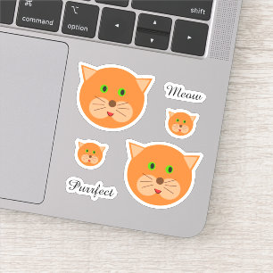 Adesivo Texto e Rosto de Gato Laranja-Cinto