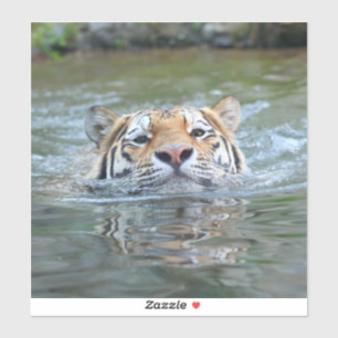 Adesivo Tigre 028