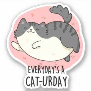 Adesivo Todos os dias é um gato gordo e gordinho gordinho