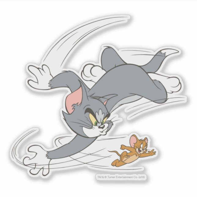 Tom and Jerry: Chasing Jerry