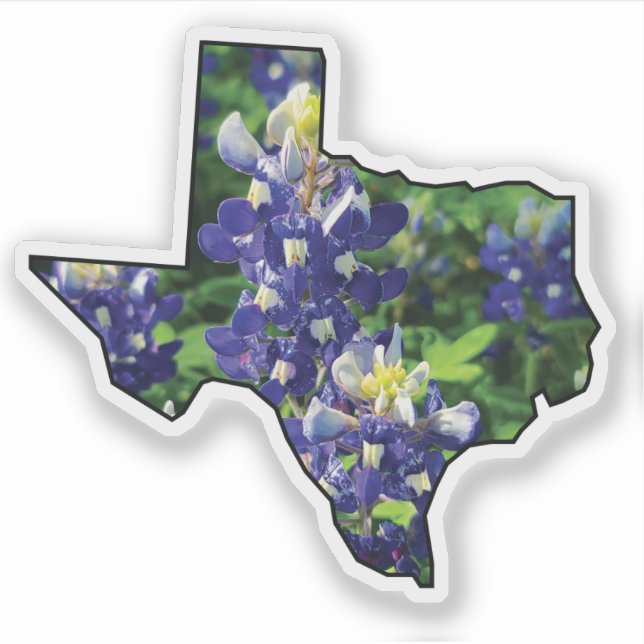 Adesivo Tópicos do Estado do Texas com Bluebonnets (Frente)