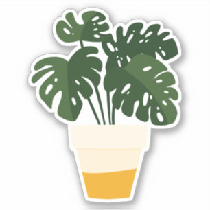 Adesivo transparente de planta doméstica em vaso v