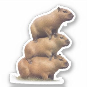 Adesivo Três Capybaras Funny Capybara Humor Stack Animal