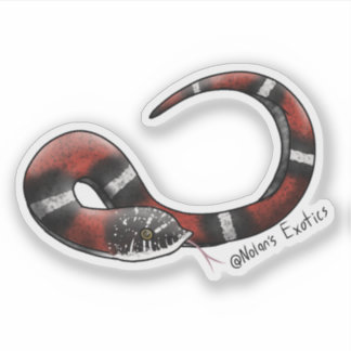 Adesivo Tri-color Hognose sticker