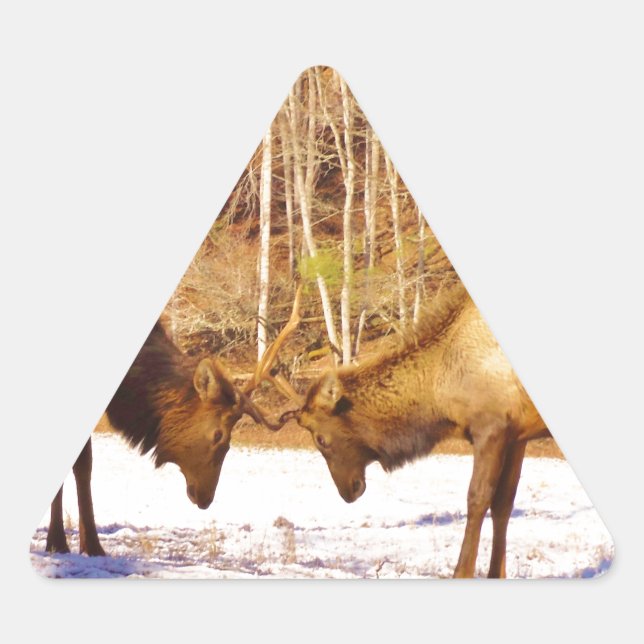 Adesivo Triangular 2~ 2 Bull Elk na neve (Frente)