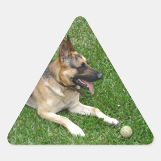 Adesivo Triangular 3 pastor alemão.png (Frente)