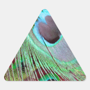 Adesivo Triangular A pena de fluxo do pavão dos olhos azuis