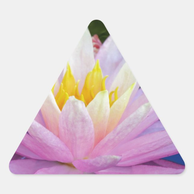 Adesivo Triangular Água Rosa Suave (Frente)