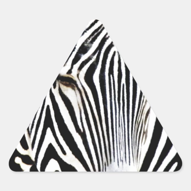 Adesivo Triangular Aguardando_ (Frente)