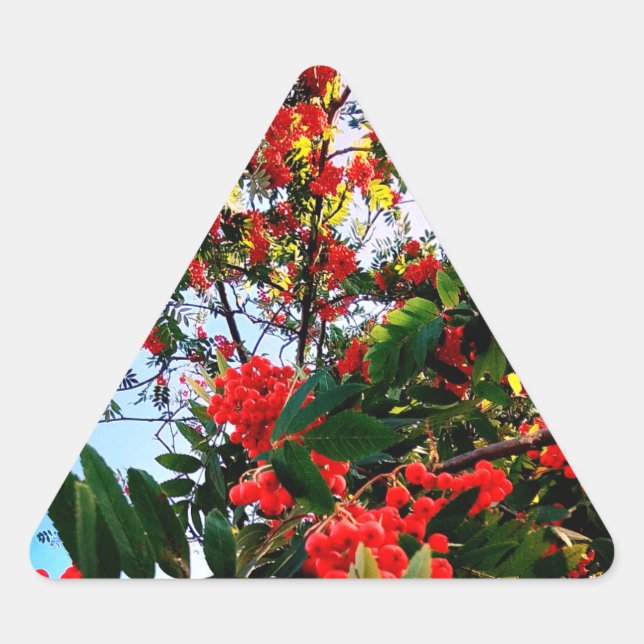 Adesivo Triangular Airelas vermelhas (Frente)