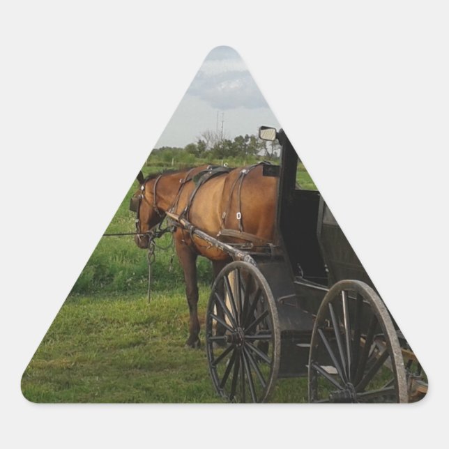 Adesivo Triangular Amish Horse e Buggy no Sunset (Frente)