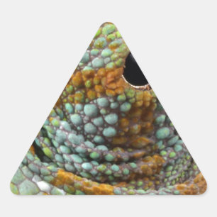 Adesivo Triangular Animal do na moda da modificação do olho do