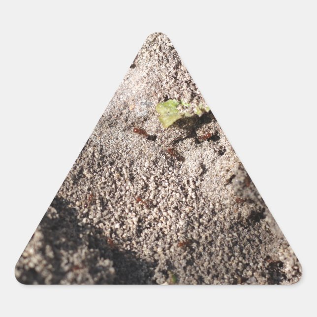 Adesivo Triangular Ants Go Marching (Frente)