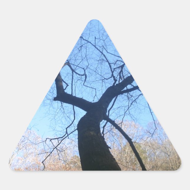 Adesivo Triangular Árvore Spooky (Frente)