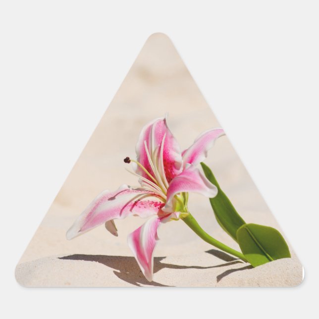 Adesivo Triangular Beach Lily Sticker (Frente)