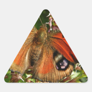 Adesivo Triangular Bela Borboleta nas Flores