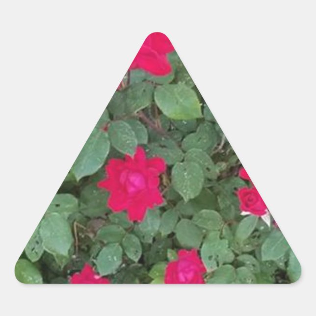 Adesivo Triangular Belas Flores (Frente)