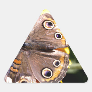 Adesivo Triangular Borboleta castanha colorida com olhos múltiplos