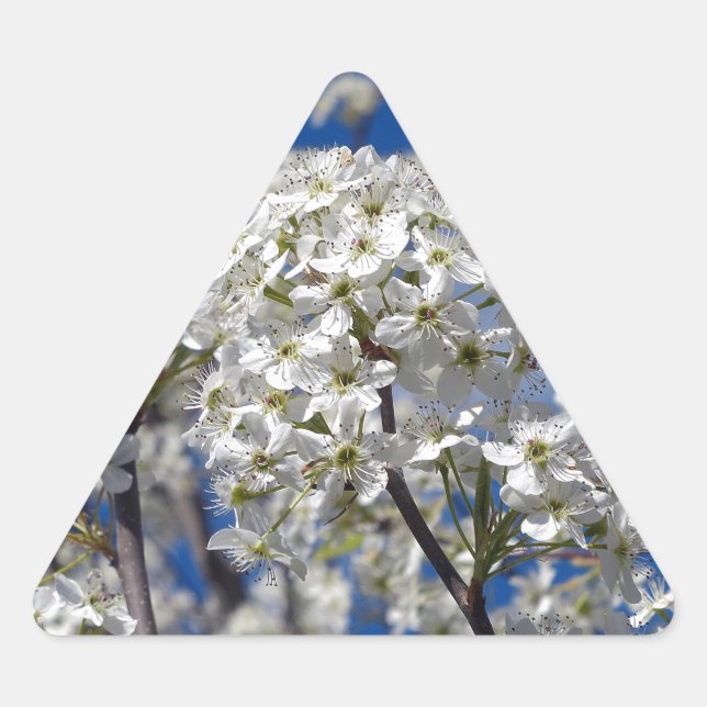 Adesivo Triangular Bradford Pear Blooms (Frente)
