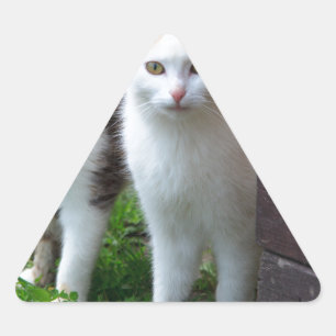 Adesivo Triangular Brincadeira