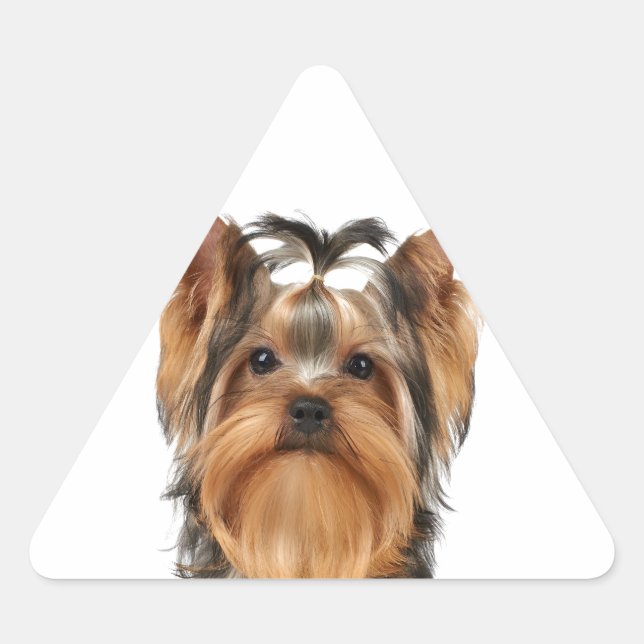 Adesivo Triangular Cachorro do Yorkshire Terrier (Frente)