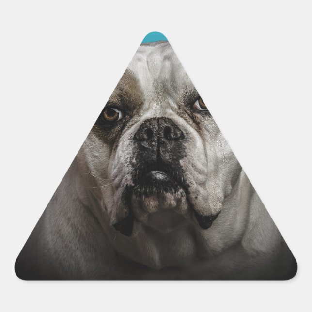 Adesivo Triangular Cachorro Escuro com Gradação Preta Azul (Frente)