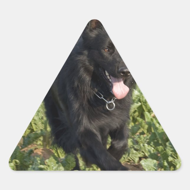 Adesivo Triangular Cachorro Negro (Frente)