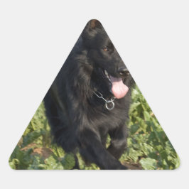 Adesivo Triangular Cachorro Negro