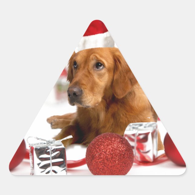 Adesivo Triangular Cachorro Retriever Dourado Com Chapéu Vermelho de  (Frente)