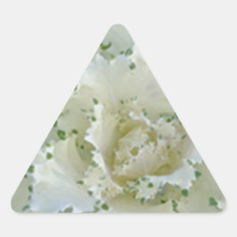 Adesivo Triangular Cactus